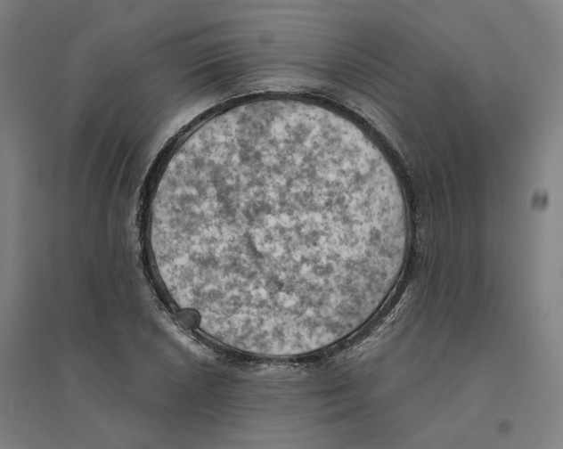 X0000094451026200712061156