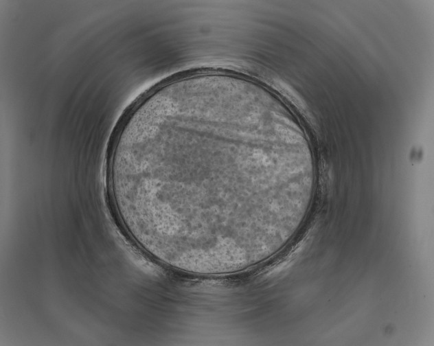 X0000094451028200712061156