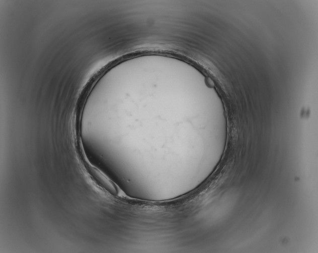 X0000094451030200712061156