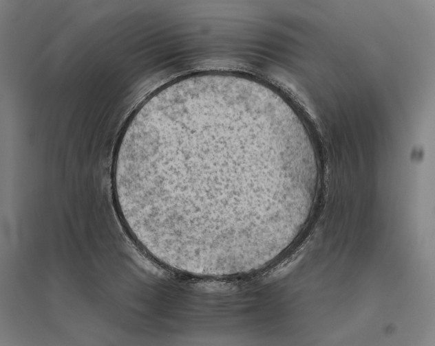 X0000094451033200712061156