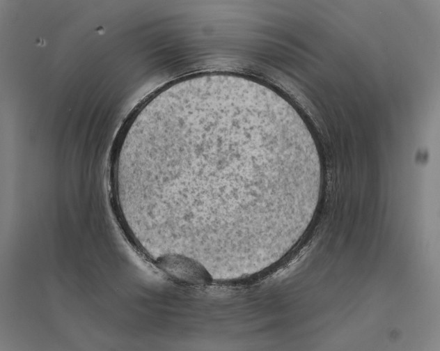 X0000094451034200712061156