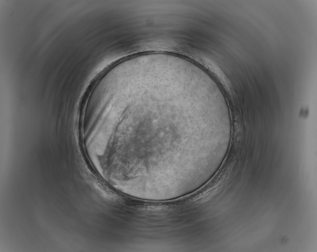 X0000094451035200712061156