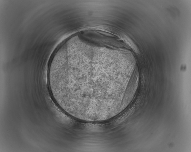 X0000094451036200712061156