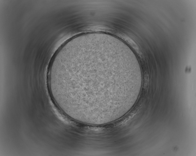 X0000094451039200712061156