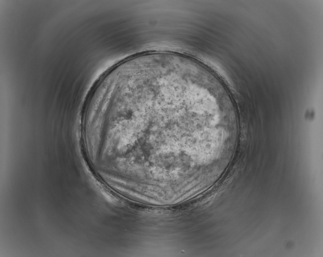 X0000094451040200712061156