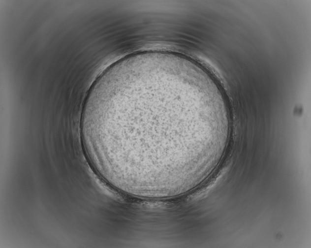 X0000094451041200712061156