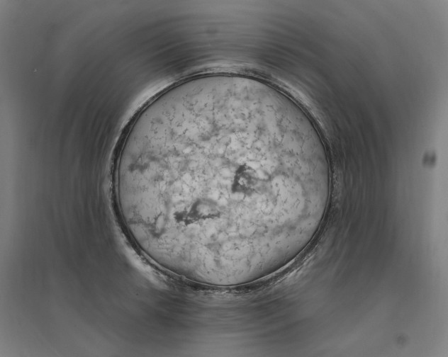 X0000094451042200712061156