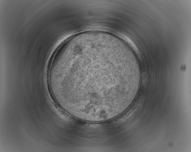 X0000094451043200712061156