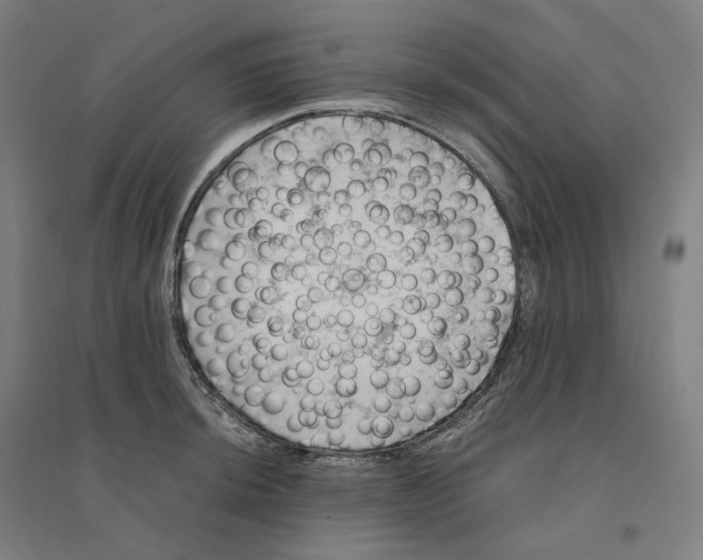 X0000094451044200712061156