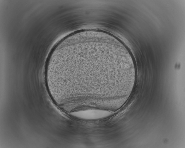 X0000094451045200712061156