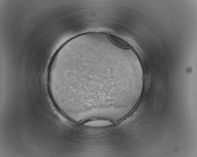 X0000094451046200712061156