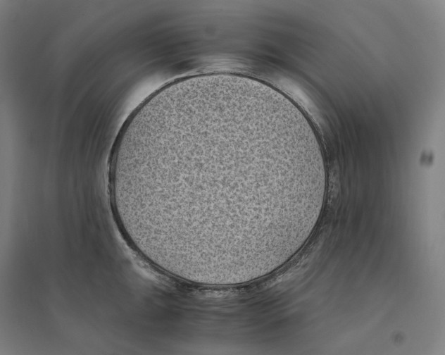 X0000094451047200712061156