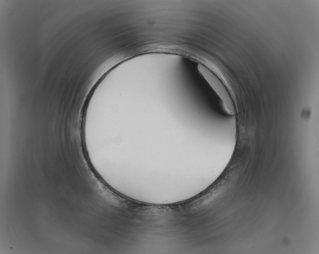 X0000094451050200712061156