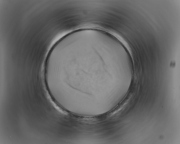 X0000094451053200712061156