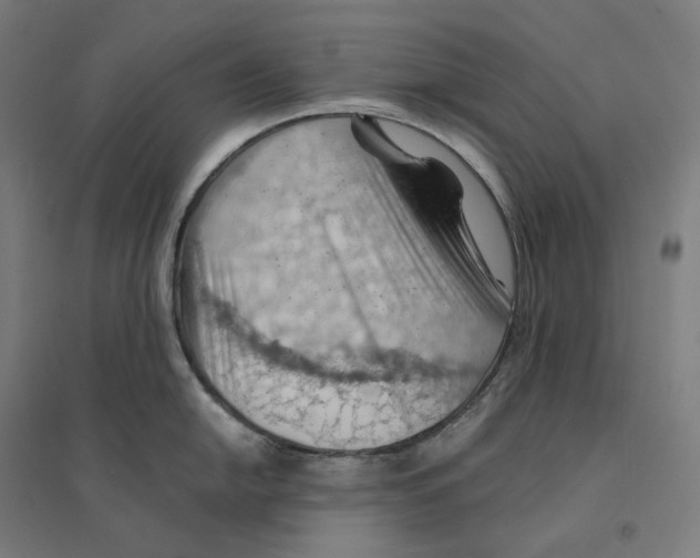 X0000094451054200712061156