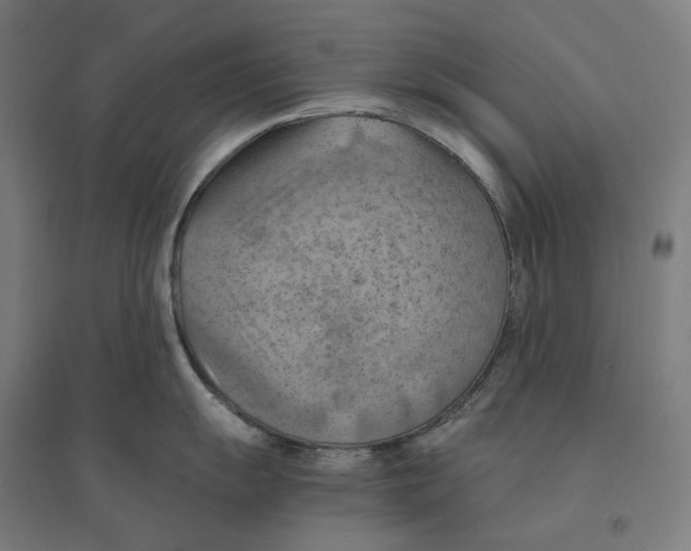 X0000094451055200712061156