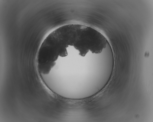 X0000094451056200712061156