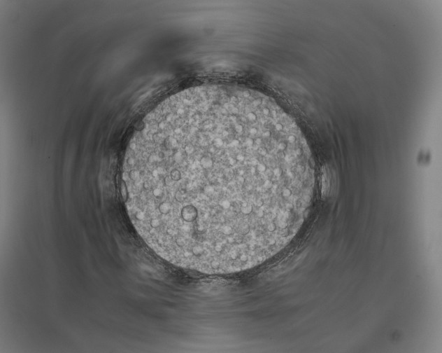 X0000094451059200712061155