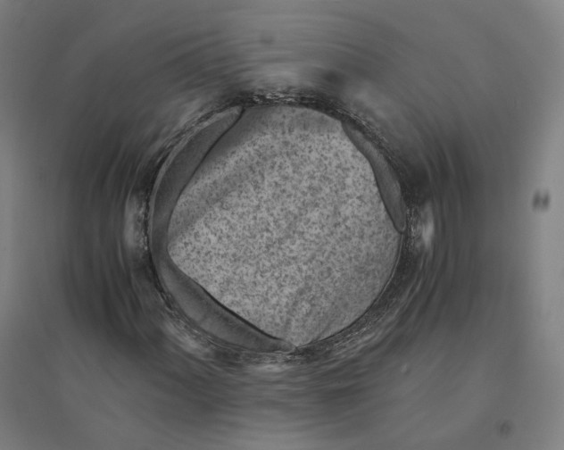 X0000094451060200712061155