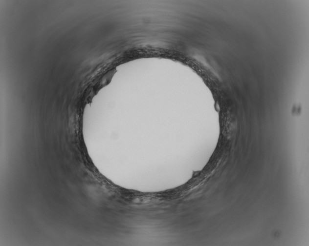 X0000094451061200712061155