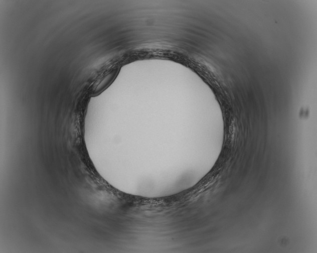 X0000094451062200712061155