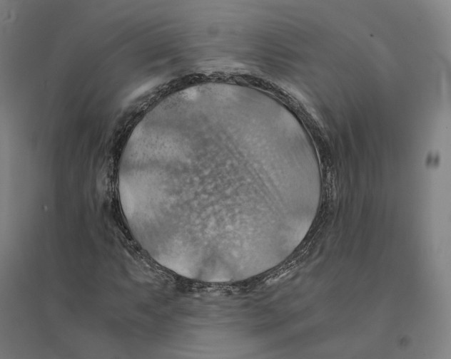 X0000094451063200712061155