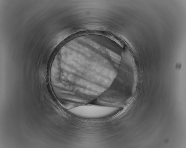 X0000094451065200712061155