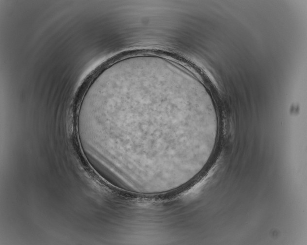 X0000094451069200712061155