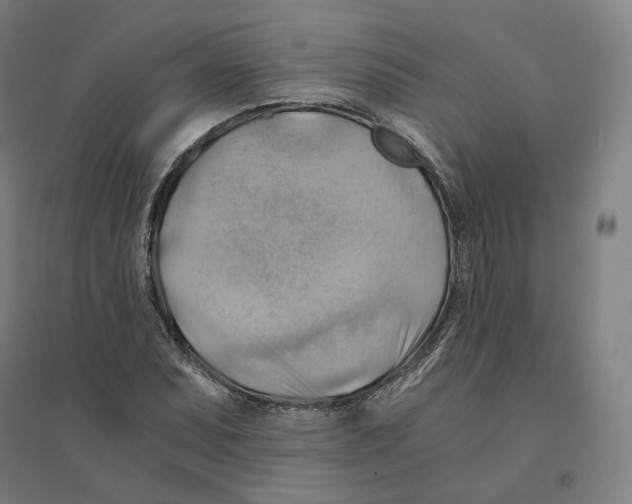 X0000094451071200712061155