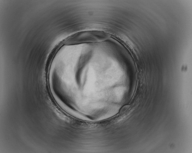 X0000094451072200712061155