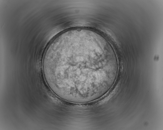 X0000094451073200712061155