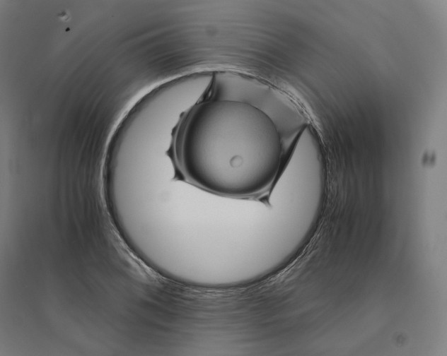 X0000094451076200712061155