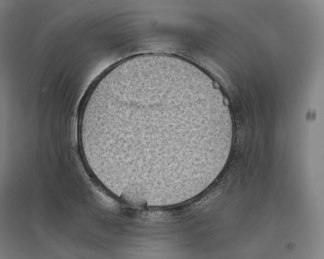 X0000094451079200712061155