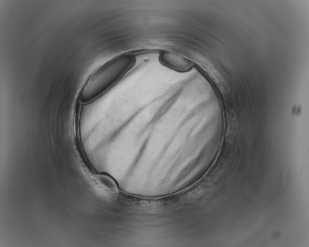 X0000094451080200712061155