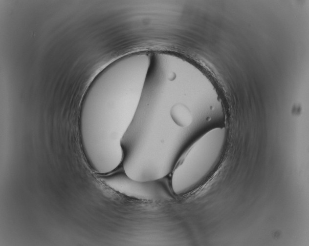 X0000094451081200712061155