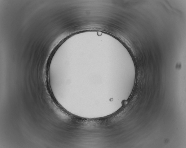 X0000094451082200712061155