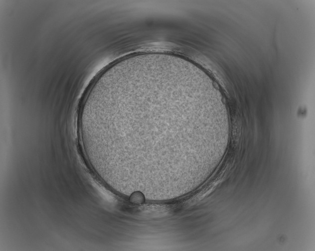 X0000094451083200712061155