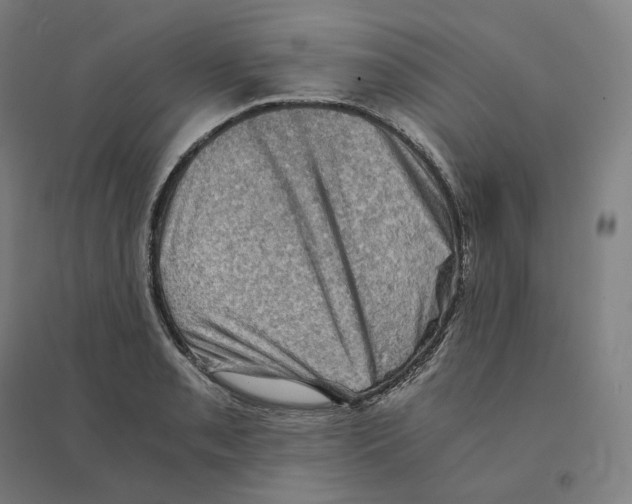 X0000094451085200712061155