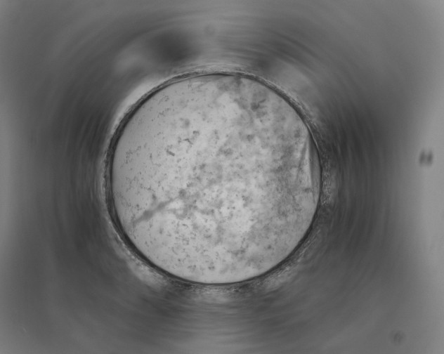 X0000094451086200712061155