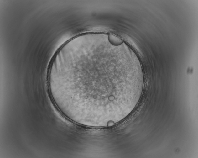 X0000094451087200712061155