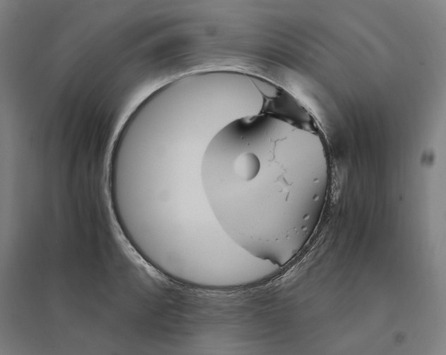 X0000094451088200712061155