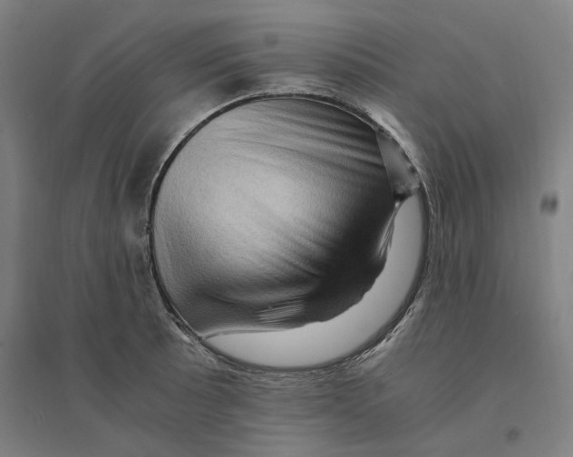 X0000094451089200712061155