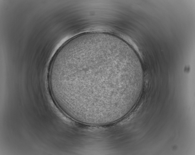 X0000094451091200712061155