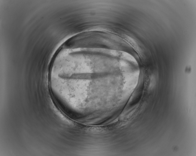 X0000094451092200712061155