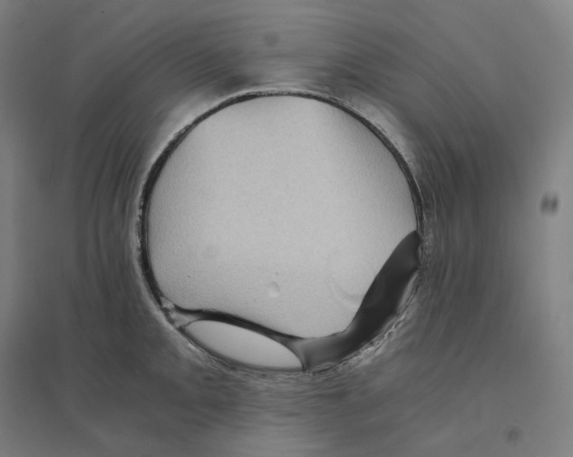 X0000094451093200712061155