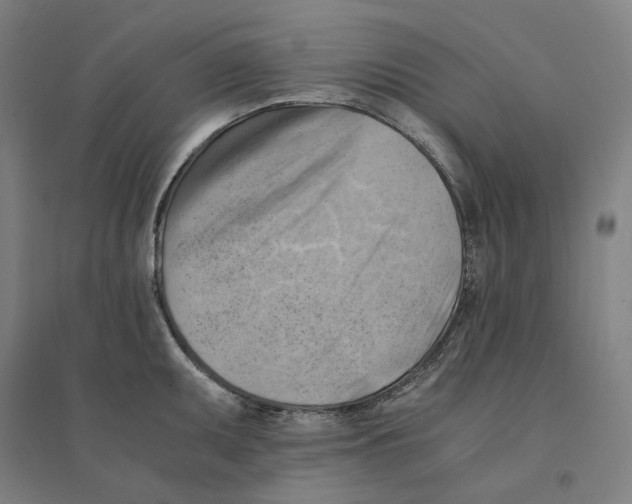 X0000094451095200712061155