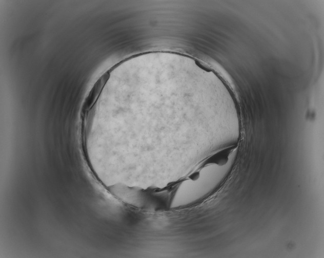 X0000094451096200712061155