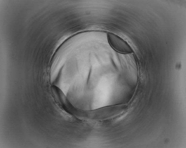 X0000094451097200712061155