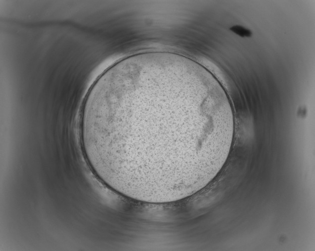 X0000094451098200712061155