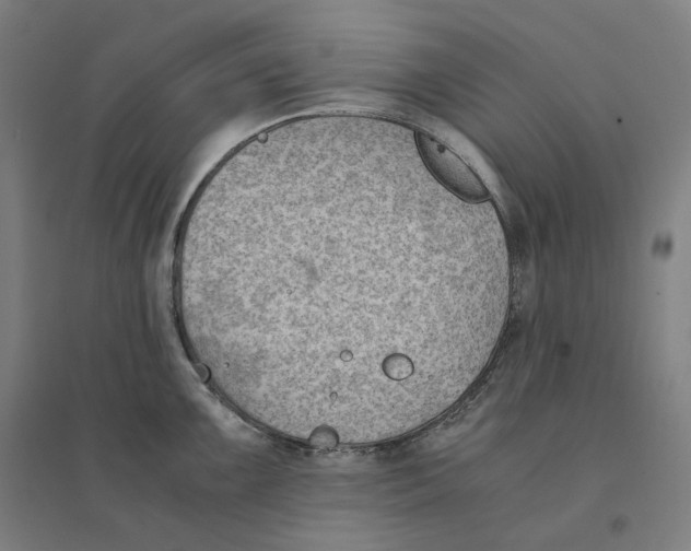 X0000094451099200712061155